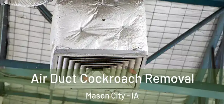 Air Duct Cockroach Removal Mason City - IA