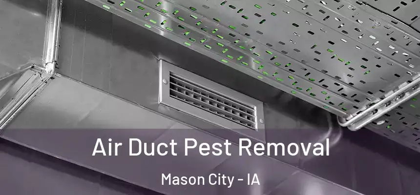 Air Duct Pest Removal Mason City - IA