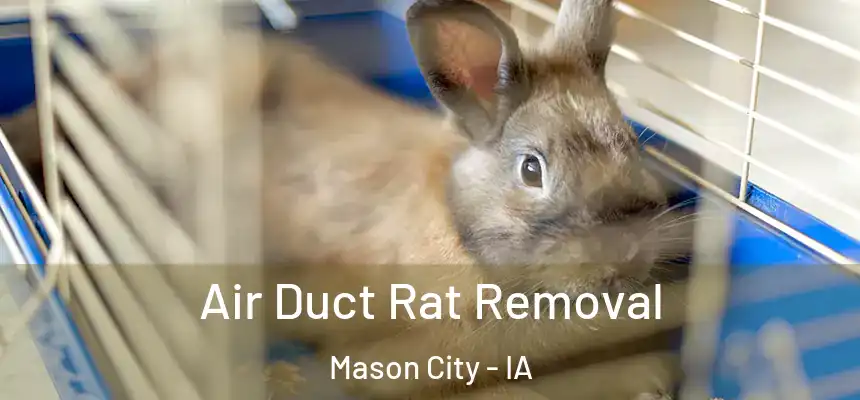 Air Duct Rat Removal Mason City - IA
