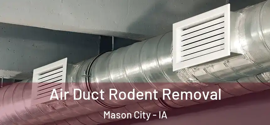 Air Duct Rodent Removal Mason City - IA