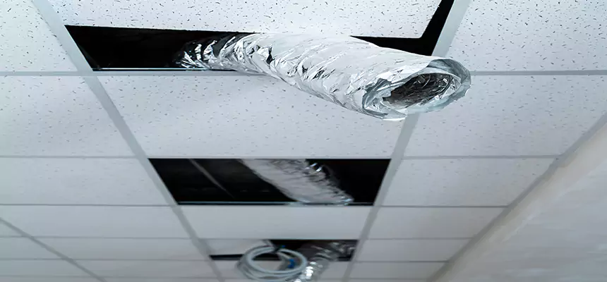 Our Air Duct Pet Hair Removal Services in Mason City, IA