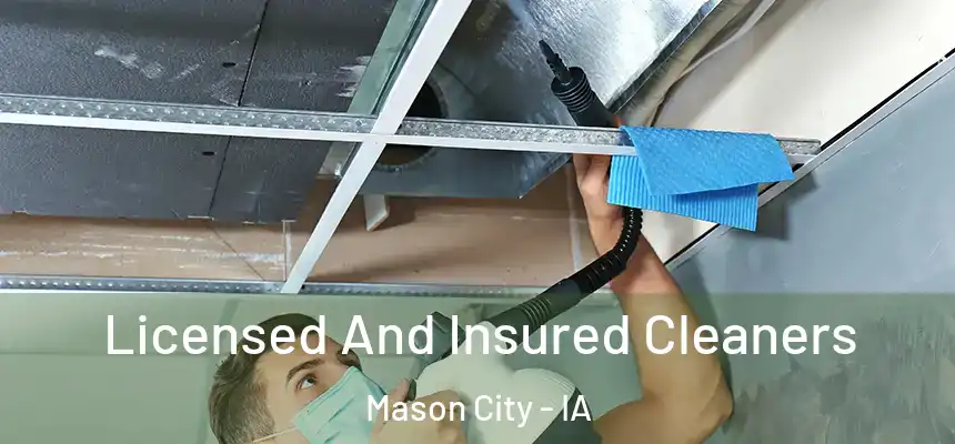 Licensed And Insured Cleaners Mason City - IA