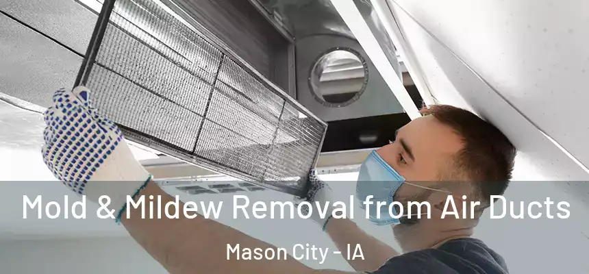 Mold & Mildew Removal from Air Ducts Mason City - IA