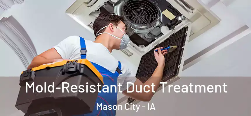  Mold-Resistant Duct Treatment Mason City - IA