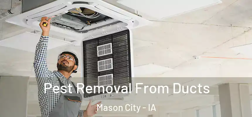 Pest Removal From Ducts Mason City - IA