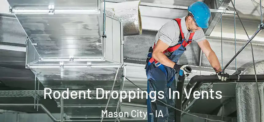Rodent Droppings In Vents Mason City - IA