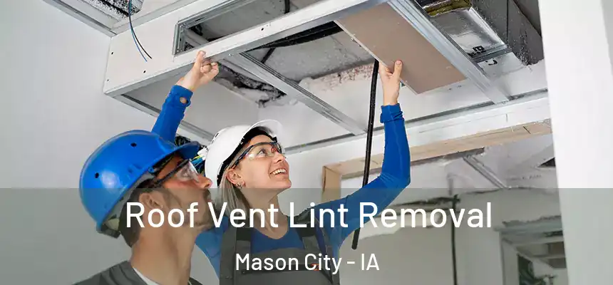 Roof Vent Lint Removal Mason City - IA