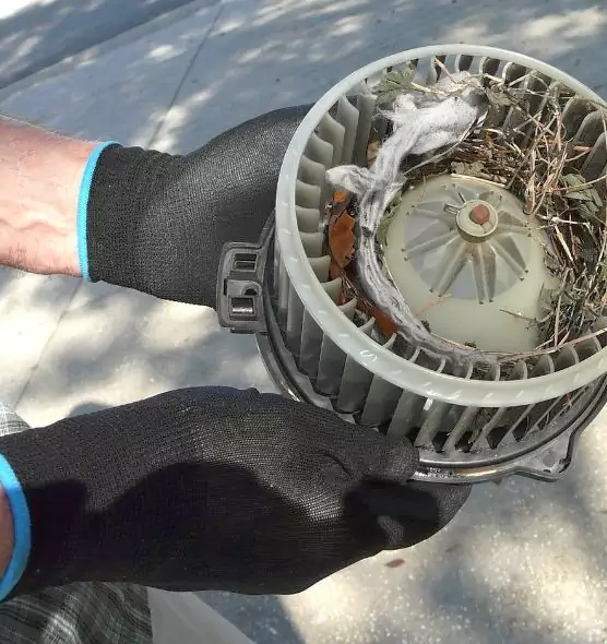 About Air Duct Mice Removal in Mason City, IA