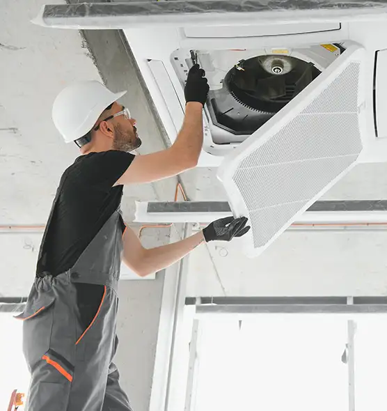 About Air Duct Rodent Removal in Mason City, IA