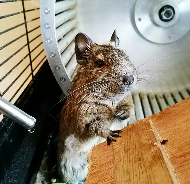 Why Homeowners & Businesses Trust Us Mason City, IA