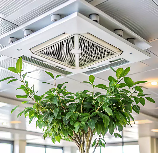 Why Homeowners & Businesses Trust Us in Mason City, IA